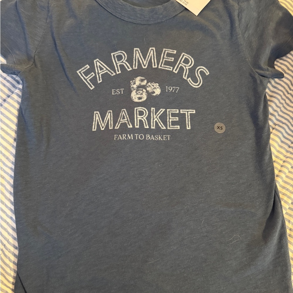 American Eagle Outfitters Blue Farmers Market Tee